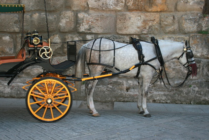 Calèche séville