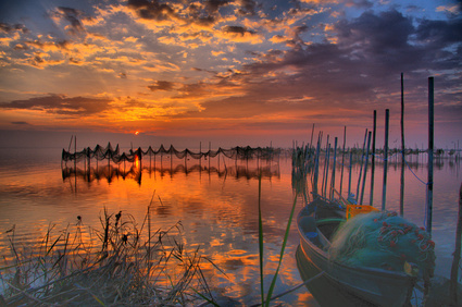 Le parc de l'Albufera. Valence Le parc de l'Albufera. Valencia.