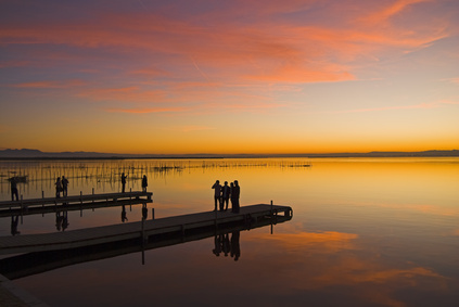 Le parc de l'Albufera. Valence. Le parc de l'Albufera. Valence.